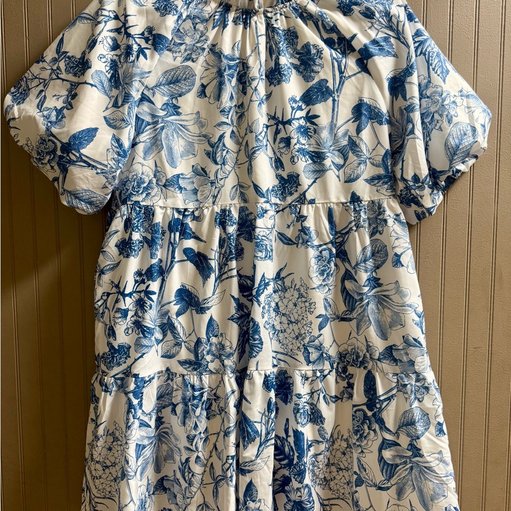 Floral Blue and White toile Dress: THML Brand